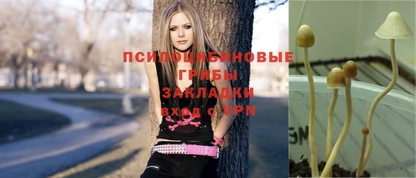 MESCALINE Аркадак