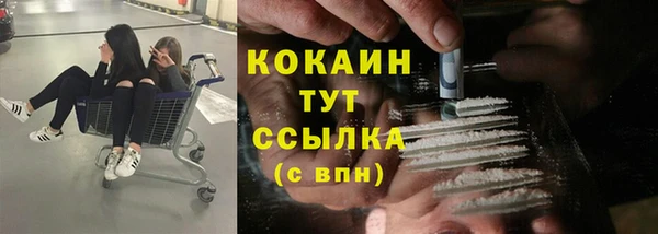дживик Алзамай