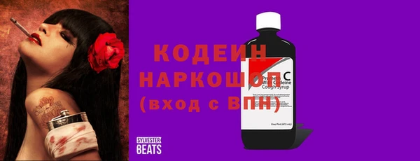 индика Рославль