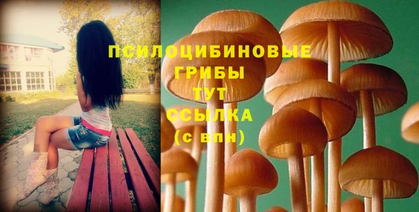 гашик Арсеньев
